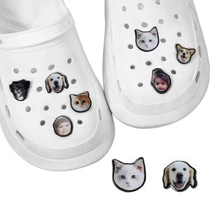 May include: White clogs decorated with charms depicting animal faces and a child's face. The charms include a black dog, a golden retriever, a calico cat, a white cat, a corgi, and a baby. The charms are black and white with colour accents.
