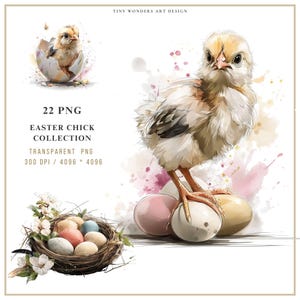Paaskuiken clipart png-set, lente baby kip illustratie, kinderkamerdier afbeelding, digitale download