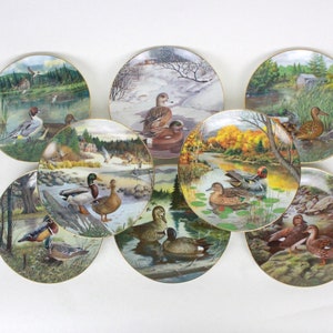 May include: Set of eight decorative ceramic plates featuring different species of ducks in various natural settings. Each plate depicts a duck in a scenic landscape, including a snowy forest, a riverbank, and a pond.