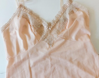 Vintage Boudoir 60s or 70s Sheer Pale Pink & Beige Lace Slip Dress/Nightgown size 36 SliPerfection PinUp