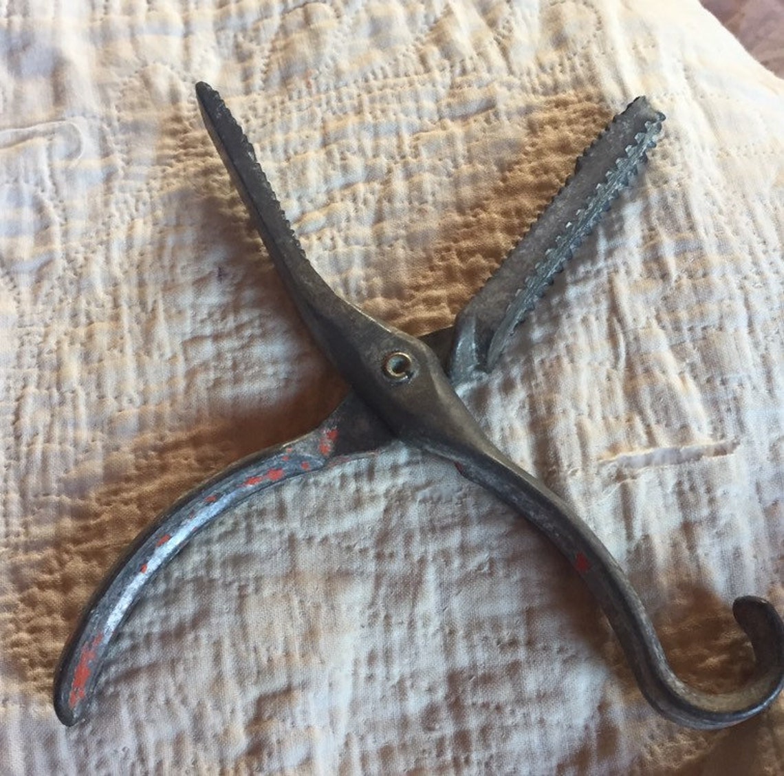 DETTYS FISH GRIPPER vintage metal fishing tool mancave decor Etsy