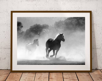 Wild Stallions Horse Print