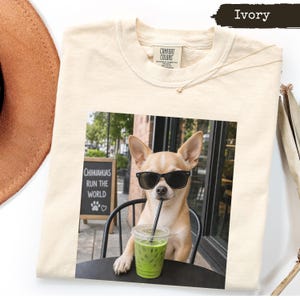 Chihuahua Run The World Dog Shirt, Funny Sunglasses Matcha Tea Pet Lover Tee, Cute Dog Mom Gift, Trendy Cafe Pup Summer T-Shirt, Gift For