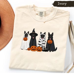 Four dogs dressed for Halloween with pumpkins and a RIP gravestone.