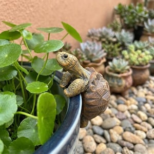 Adorno colgante de tortuga para maceta - Figura de tortuga en miniatura para maceta - Decoración de jardín moderna y orgánica - Regalo único para amantes de los animales y decoración de interiores