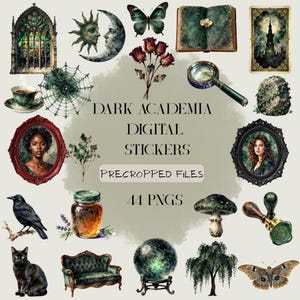 May include: A collection of digital stickers featuring dark academia imagery including a gothic window, sun and moon, butterfly, open book, magnifying glass, portraits in frames, a crow, a cat, a crystal ball, and text reading DARK ACADEMIA DIGITAL STICKERS PRECROPPED FILES 44 PNGS.