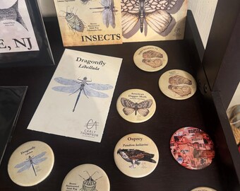 May include: A display of insect and wildlife-themed art and merchandise. Includes prints and round buttons featuring illustrations of insects, a dragonfly, an osprey, and a horseshoe crab. The text "INSECTS" is visible on one print.