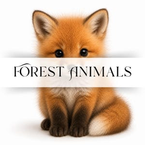 Könnte beinhalten: Ein flauschiger roter Fuchswelpe mit großen dunklen Augen und schwarzen Pfoten sitzt aufrecht. Ein weißes horizontales Band liegt über der Mitte des Bildes und zeigt den schwarzen Text FOREST ANIMALS in einer Serifenschrift.