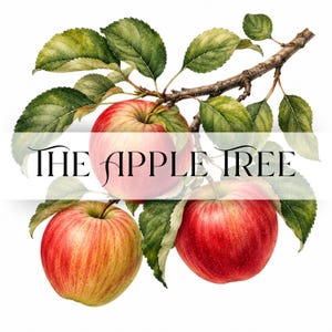 Puede incluir: Una ilustración botánica de tres manzanas rojas y amarillas colgando de una rama marrón con hojas verdes. El texto THE APPLE TREE está impreso en negro en el centro de la imagen, superpuesto a la fruta y el follaje en una fuente serif.
