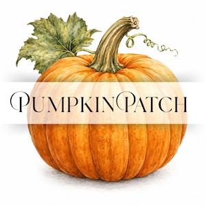 May include: A watercolor illustration of a round orange pumpkin with a green stem, a curly vine, and a large green leaf. The text PUMPKIN PATCH is printed in black serif font across the center of the pumpkin against a white horizontal band.