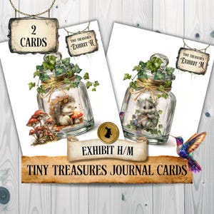 Puede incluir: Dos tarjetas de diario con ilustraciones caprichosas. Una tarjeta presenta un erizo dentro de un tarro de cristal con hiedra y setas. La otra tarjeta muestra un ratón en un tarro. Las tarjetas están etiquetadas como "Exhibit H/M" y "Tiny Treasures Journal Cards."