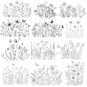 Può includere: Una collezione di illustrazioni in bianco e nero di vari fiori selvatici e piante. I disegni includono rappresentazioni dettagliate di papaveri, margherite, tulipani e altre composizioni floreali, alcune con farfalle.