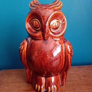 Dartmouth Pottery Brown Ceramic Owl Money Box