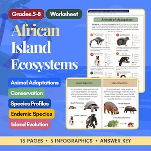 Puede incluir: Una hoja de trabajo educativa titulada African Island Ecosystems para los grados 5-8. Incluye infografías sobre animales de Madagascar, como lémures, y conceptos como el gigantismo y el enanismo insular con imágenes.