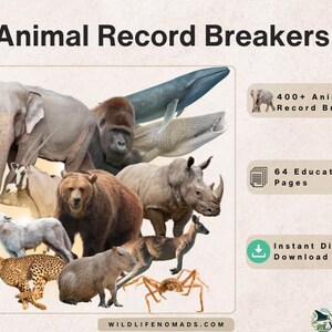 Animais que quebram recordes: PDF imprimível de 64 páginas para crianças | Atividade educativa sobre a natureza e curiosidades sobre animais