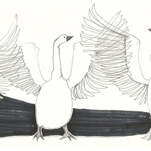 Original drawing WILD GEEESE // bird sketches by Elisaveta Sivas // 5,9 x 11,4'