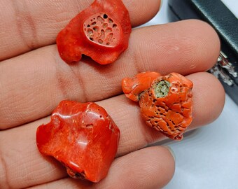 Natural Coral Polished Rough Branch Gemstone Mediterranean Sea Reef Specimen 36 CT.