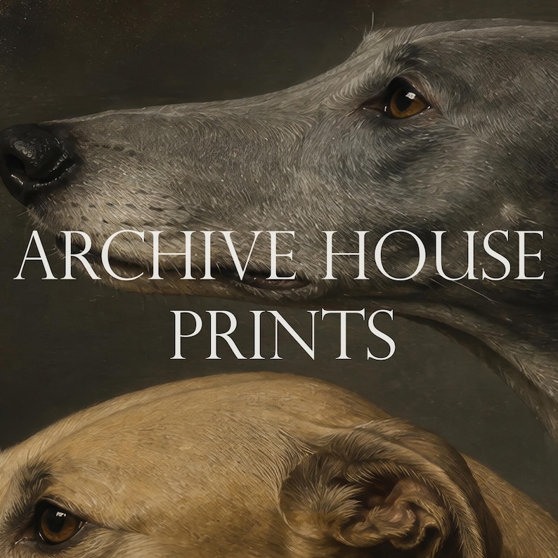 May include: Close-up of two greyhounds, one grey and one tan, with the text "ARCHIVE HOUSE PRINTS" in white. The dogs' eyes are visible, and the background is a dark, muted color.