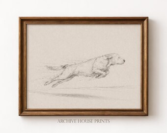 Dog with Zoomies | Minimalist Pet Labrador Retriever Sketch | Vintage Dog Portrait Drawing | Antique Animal Wall Decor | MAILED Print