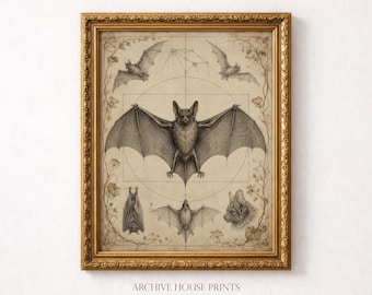 Vitruvian Bat Plate Wall Art | Victorian Gothic Halloween Decor | Vintage Bat Study Illustration Print | MAILED Print