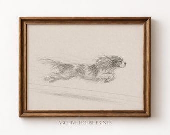 Dog with Zoomies | Minimalist Cavalier King Charles Spaniel Sketch | Vintage Dog Portrait Drawing | Antique Animal Wall Decor | MAILED Print