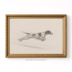 Dog with Zoomies | Minimalist Pet German Shorthaired Pointer Sketch | Vintage Dog Portrait Drawing | Antique Animal Wall Art | MAILED Print