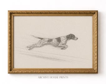 Dog with Zoomies | Minimalist Pet German Shorthaired Pointer Sketch | Vintage Dog Portrait Drawing | Antique Animal Wall Art | MAILED Print
