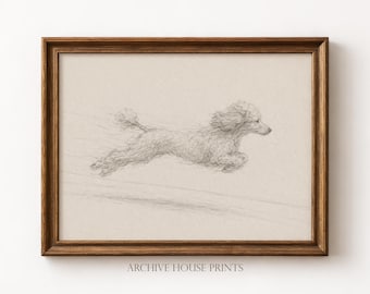 Dog with Zoomies | Minimalist Pet Poodle Sketch | Vintage Dog Portrait Drawing | Antique Animal Wall Decor | MAILED Print