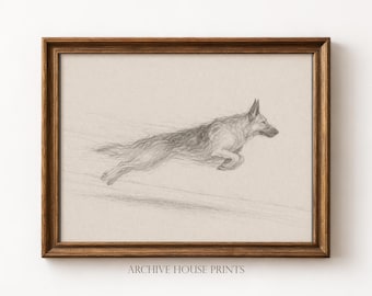 Dog with Zoomies | Minimalist Pet German Shepherd Sketch | Vintage Dog Portrait Drawing | Antique Animal Wall Decor | MAILED Print