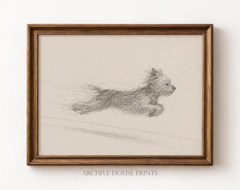 Dog with Zoomies | Minimalist Pet Yorkshire Terrier Sketch | Vintage Dog Portrait Drawing | Antique Animal Wall Decor | MAILED Print