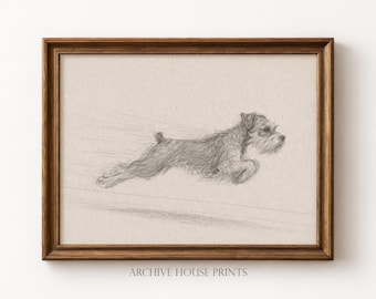 Dog with Zoomies | Minimalist Pet Miniature Schnauzer Sketch | Vintage Dog Portrait Drawing | Antique Animal Wall Decor | MAILED Print
