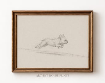 Dog with Zoomies | Minimalist Pet French Bulldog Sketch | Vintage Dog Portrait Drawing | Antique Animal Wall Art | MAILED Print