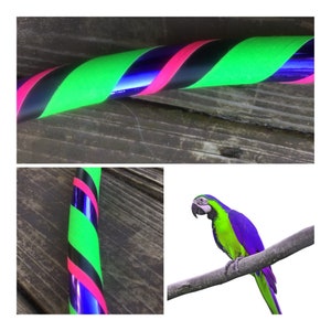 Punky Parrot Hoop- Beginner/ Workout/ Extra Large Giant/ Intermediate/Dance/Kids/Tiny Tot Size and Mom/Dad & Me Sets