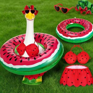 Puede incluir: Una colección veraniega caprichosa con un ganso que lleva un flotador, un bikini y gafas de sol con temática de sandía. Incluye un flotador con estampado de sandía, gafas de sol en forma de corazón y una falda a juego. Rojo, verde y negro.
