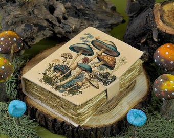 Diario de cuero de la Madre Tierra: Grimorio rústico, Libro de las Sombras, Libro de las Sombras de hechizos vintage / Grimorio de brujería wiccana.