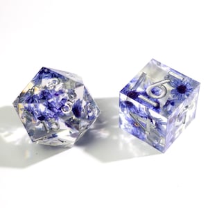 May include: Two clear resin dice with embedded blue flowers and silver numbering. One is a 20-sided die, the other is a six-sided die. The dice are set against a white background.