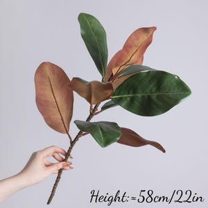 May include: A faux magnolia branch featuring a mix of deep green and copper-brown leaves on a textured stem. The branch measures approximately 58 cm in height, as indicated by the text printed on the image.