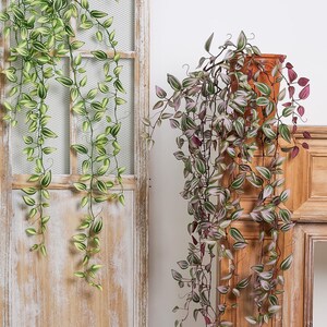 Könnte beinhalten: Zwei künstliche Hängepflanzen mit spitzen, panaschierten Blättern. Eine Pflanze hat grün-weiß gestreiftes Laub, während die andere violette, grüne und weiße Töne aufweist. Beide Pflanzen haben lange, schlanke Stängel, die nach unten hängen.