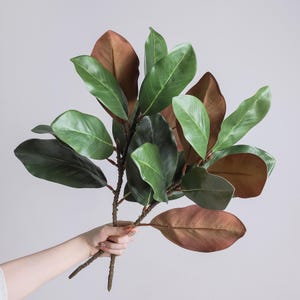 May include: A botanical stem featuring multiple oval-shaped leaves with a dual-tone appearance. The top surfaces of the leaves are a vibrant, glossy green, whilst the undersides display a matte, earthy brown hue with visible veining.