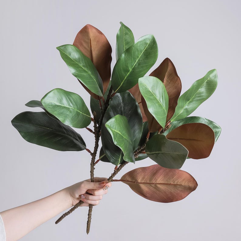 May include: A botanical stem featuring multiple oval-shaped leaves with a dual-tone appearance. The top surfaces of the leaves are a vibrant, glossy green, whilst the undersides display a matte, earthy brown hue with visible veining.