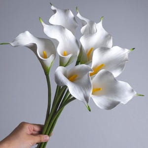 Puede incluir: Un ramo de lirios de agua blancos con pétalos lisos en forma de trompeta y espádices de color amarillo brillante. Las flores están unidas a tallos verdes largos y delgados que se agrupan en la base, creando un arreglo floral natural y elegante.