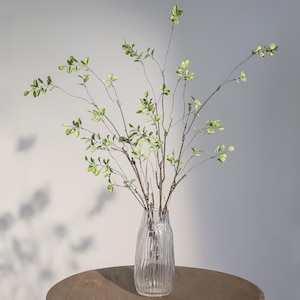 Könnte beinhalten: Eine klare Glasvase mit vertikalen Rillen enthält mehrere Zweige mit kleinen grünen Blättern. Die Zweige sind braun und schlank und bilden eine natürliche Anordnung. Die Vase steht auf einem runden Holztisch.