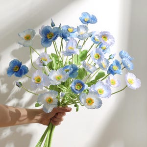 May include: A bunch of blue and white poppy flowers with yellow centres and green stems. The flowers are held in a hand against a white backdrop. The poppy petals have a delicate, layered appearance.