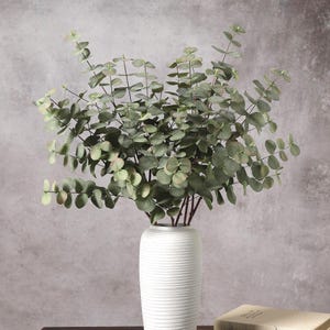 Tiges d'eucalyptus artificiel de 79 cm (31 po), branches de verdure élégantes pour la décoration de vases, le stylisme d'intérieur moderne et les arrangements floraux