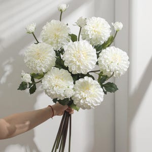 May include: A bouquet of large, white dahlia flowers with green leaves and stems. The flowers have a layered petal design and are held together by brown stems. The bouquet is a bright, natural arrangement.