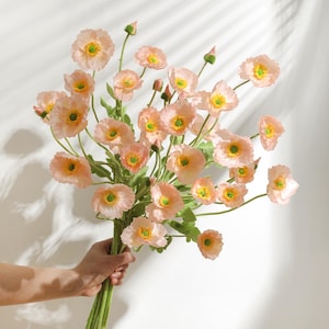 May include: A bunch of peach-coloured poppy flowers with yellow centres and green stems. The flowers are in full bloom, with delicate petals and a realistic appearance. The bouquet is held together, creating a visually appealing arrangement.