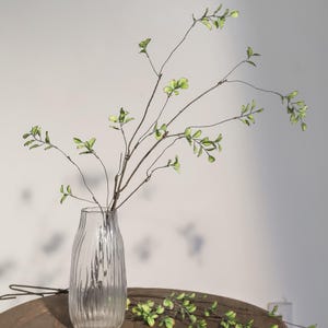 May include: A clear glass vase with vertical ridges holds several branches with small green leaves. The branches are brown and slender, creating a natural, airy arrangement. The vase sits on a wooden surface.