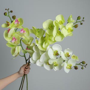 Real Touch Phalaenopsis Orchid Stem, Luxury Faux Orchid for Home Decor, Elegant Floral Arrangement for Wedding & Vase Display