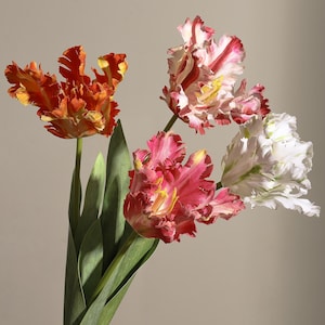 Könnte beinhalten: Ein Strauß bunter Papageientulpen. Die Blumen zeigen eine Reihe von Farben, darunter Orange, Rot, Rosa und Weiß, mit gerüschten Blütenblättern. Grüne Blätter und Stiele sind ebenfalls zu sehen.