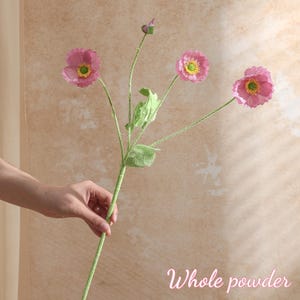 May include: A sprig of artificial pink poppies with yellow centres and green stems and leaves. The text "Whole powder" is written in a cursive font at the bottom right of the image.